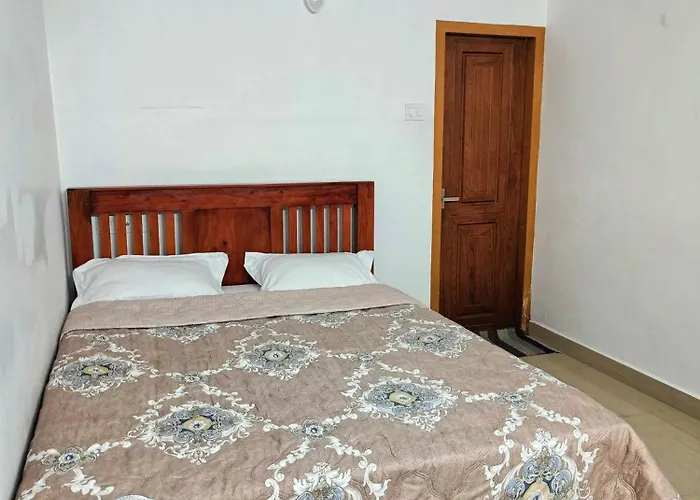 Cat Homes Vagamon